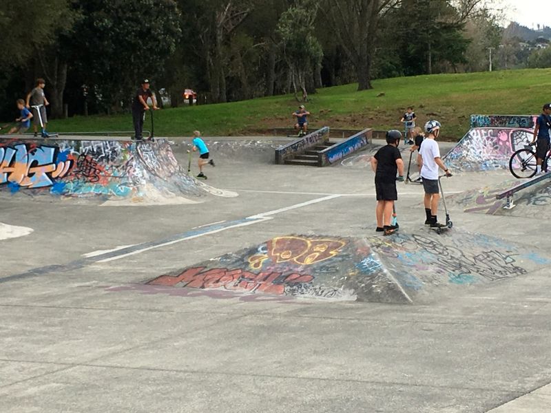 Willian Fraser Skatepark
